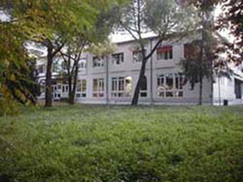 Sede